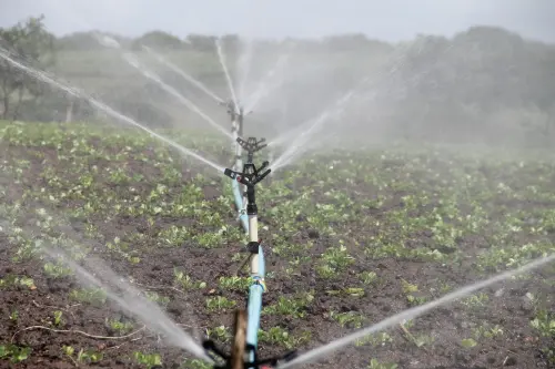Pompa per impianto di irrigazione, come scegliere il modello più adatto